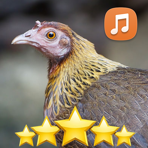 Female Red Junglefowl Sounds HD icon