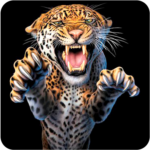 Cheetah Wallpapers icon