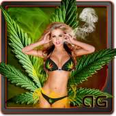 Sexy Weed Girl