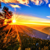 Jigsaw Puzzles For All icon