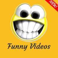 Funny Video Clips | Watch Latest Funny Videos.