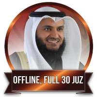 MISHARY RASHID AL AFASY Full Quran Mp3 Offfline on 9Apps