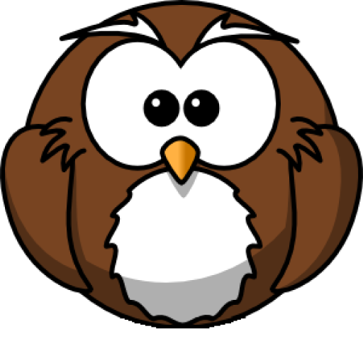 Bouncy Bird icon