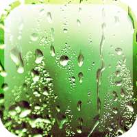 Rain Appling Live Wallpaper