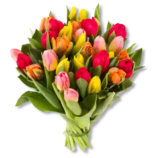 Flowers Stickers for Whatsapp icon