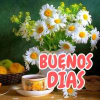 Buenos días, tardes y noches