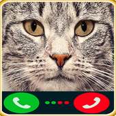fake call cat Caller on 9Apps