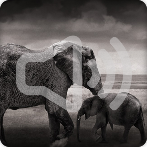 Elephant Sounds Ringtones icon