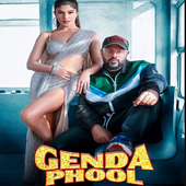 ALL BEST BADSHAH - Offline IndiPop 2020 icon