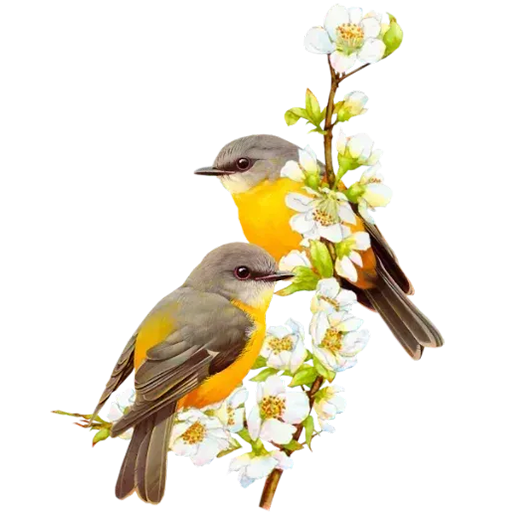 Nature stickers for WhatsApp and Telegram icon