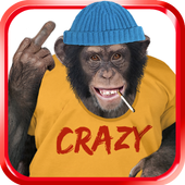 Bad Talking Monkey icon