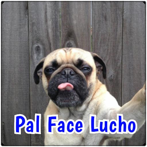 Memes en español icon