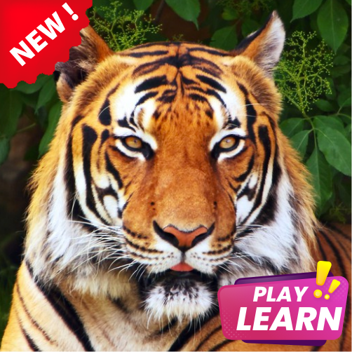 Learn Animals icon