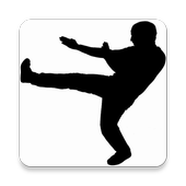Wing Chun Lesson icon