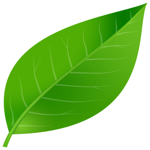 Leaf and Pebble icon