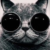 Funny Cats Jigsaw Puzzles icon