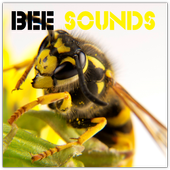Bee Sounds icon