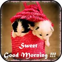 Good Morning Images HD !