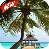 Coconut Tree wallpaper on 9Apps