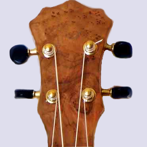 Ukulele Chords &amp; Scales (free) icon