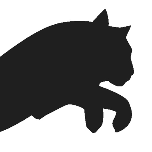 Tiger Underwear icon