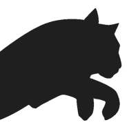 Tiger Underwear on 9Apps