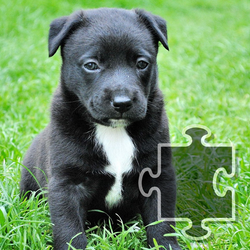 Jigsaw Puzzles: Dogs and Puppies icon