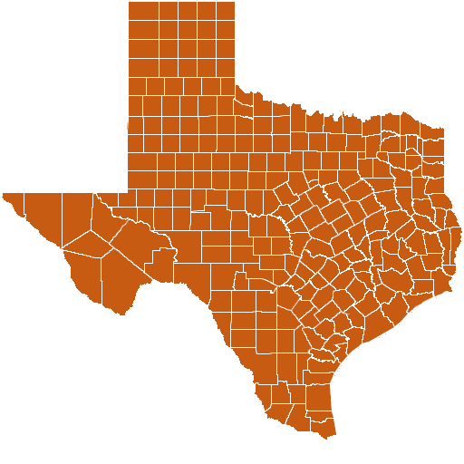 Texas Map Puzzle icon