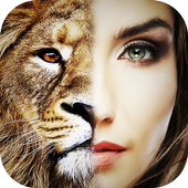 Face Morphing icon