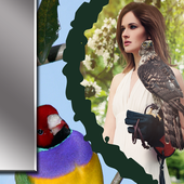 Beautiful Birds Frames icon