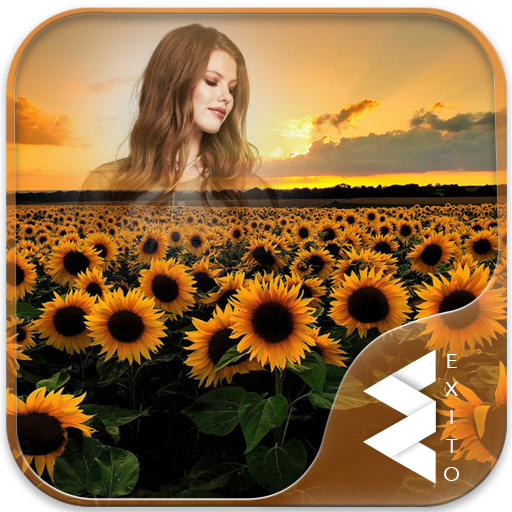 Sunflower Photo Frames icon