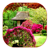 Khu Vườn | Hinh nen dong icon