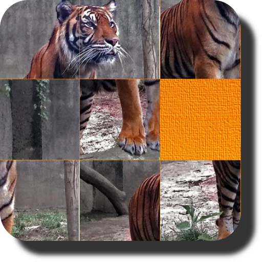 Brain performance icon