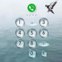 AppLock - Seagulls on 9Apps