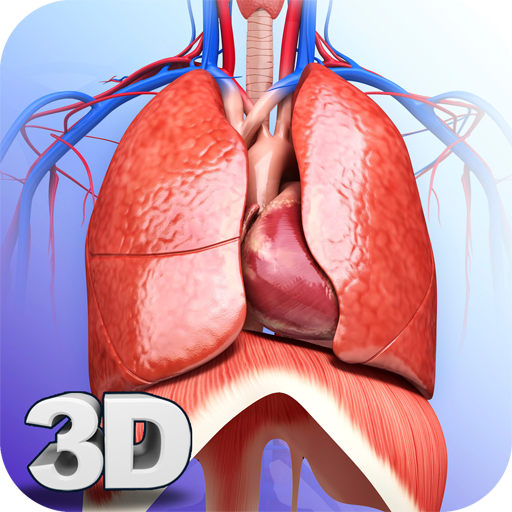 Respiratory System Anatomy Pro. icon