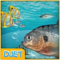 물고기길들이기