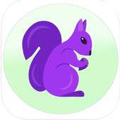 Squirrel VPN - Best VPN 2020