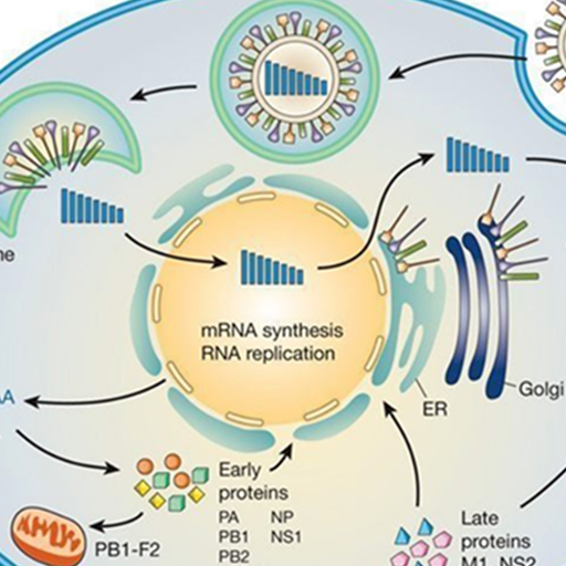 Virology icon