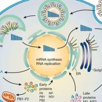 Virology on 9Apps