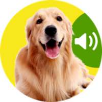 Best Dog Sounds on 9Apps