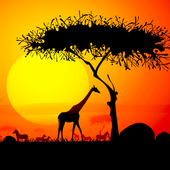 Trees - HD Wallpapers icon