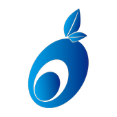 Osoyoo Raspberry Pi Robot Car Controller icon