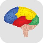 Brain Challenge - Game Trainer