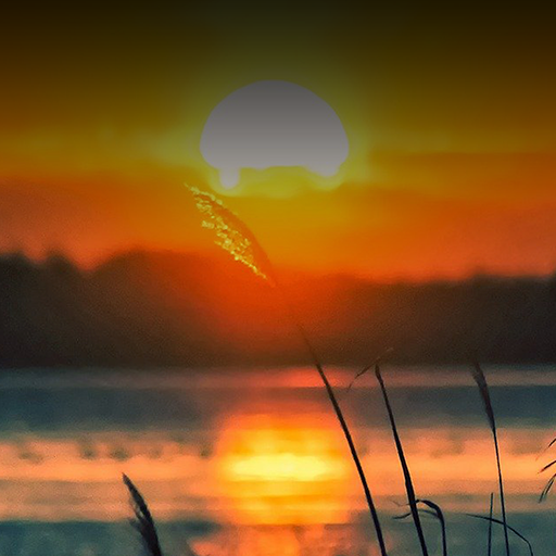 Nature Sound أيقونة