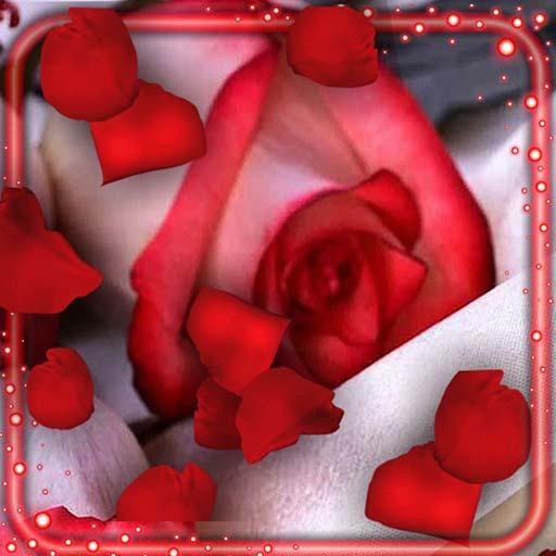 Red Roses Petals Live Wallpaper icon