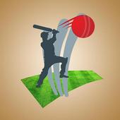 Cricket League History icon