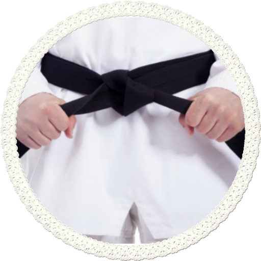 Taekwendo guide أيقونة