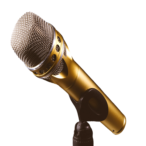 Microphone Feedback Sound icon