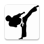 Taekwondo Training Program icon