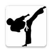 Taekwondo Training Program